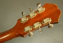 Epiphone_texan_1966_cons_head_rear_1