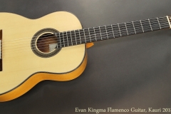 Evan Kingma Flamenco, Kauri 2018 Full Front View