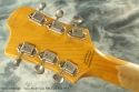 Fano Alt de Facto Gold Top 2013 head rear view