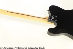 Fender American Professional Telecaster Black Full Rear View