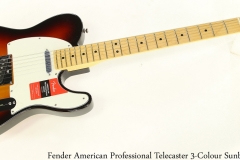 Fender American Professional Telecaster 3-Colour Sunburst Full Front View