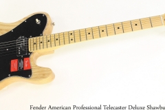 Fender American Professional Telecaster Deluxe Shawbucker Full Front View