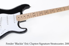 Fender 'Blackie' Eric Clapton Signature Stratocaster, 2008 Full Front View