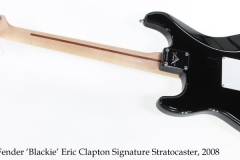 Fender 'Blackie' Eric Clapton Signature Stratocaster, 2008 Full Rear View