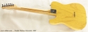 Fender Deluxe Ash Telecaster 2007 full rear view