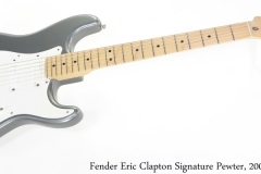 Fender Eric Clapton Signature Pewter, 2000 Full Front View