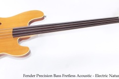 Fender Precision Bass Fretless (Acoustic / Electric) Natural, 1993 Full Front View