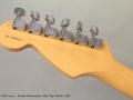 Fender Stratocaster with Flip Flop Finish 1995 head rear