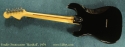 Fender Hardtail Stratocaster, 1979 full rear