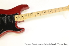 Fender Stratocaster Maple Neck Trans Red, 1979 Full Front View