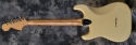 Fender Strat_Hardtail_1973(C)_back