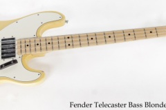 Fender Telecaster Bass Blonde, 1972 Full Front View