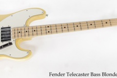 Fender Telecaster Bass Blonde, 1972 Full Front View
