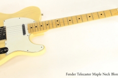 Fender Telecaster Maple Neck Blonde, 1973   Full Front VIew