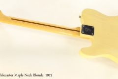 Fender Telecaster Maple Neck Blonde, 1973   Full Rear View