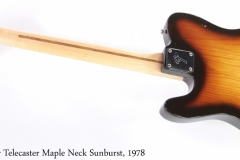 Fender Telecaster Maple Neck Sunburst, 1978 Full Rear View