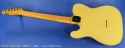 Fender-telecaster-1966-blonde-cons-full-rear-1