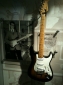 Fender-Tour-003