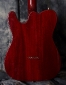 Fender_Custom_Shop_Group(C)_Tele_Jr_Back