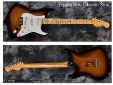 Fender_Eric Johnson Strat(C)