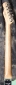 Fender_Esquire-CS_2002_(C)_Neck