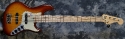 Fender_Jazz Bass 5 Deluxe_2007(C)