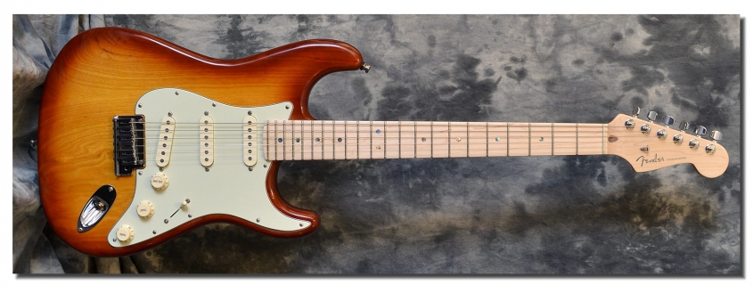 Fender_Strat Deluxe_2009(C)