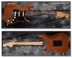 Fender_Strat_Walnut_73(C)