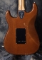 Fender_Strat_Walnut_73(C)_back