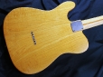 fender_tele_thinline_68_back_1