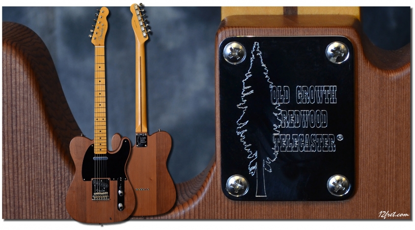 Fender_Telebration_Redwood