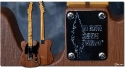 Fender_Telebration_Redwood