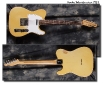 Fender_Telecaster_1969