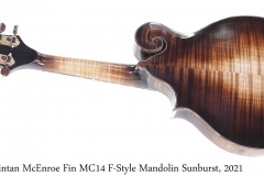 Fintan McEnroe Fin MC14 F-Style Mandolin Sunburst, 2021 Full Rear View