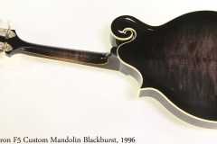 Flatiron F5 Custom Mandolin Blackburst, 1996 Full Rear View