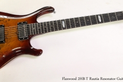 Flaxwood 2HB-T Rautia Resonator Guitar, 2012  Full Front View