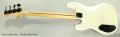 Fretless Parts Bass Full Rear View