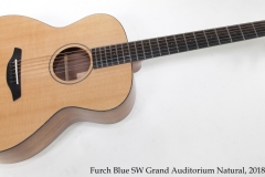 Furch Blue SW Grand Auditorium Natural, 2018 Full Front View