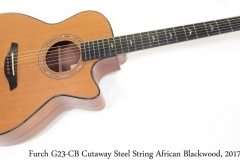 Furch G23-CB Cutaway Steel String African Blackwood, 2017 Full Front View
