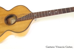 Gaetano Vinaccia Guitar, 1829 Full Front View