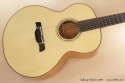 Galloup Hybrid Acoustic 2009 top