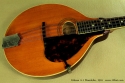 Gibson A-1 Mandolin, 1916 top