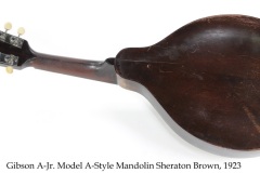 Gibson A-Jr. Model A-Style Mandolin Sheraton Brown, 1923 Full Rear View