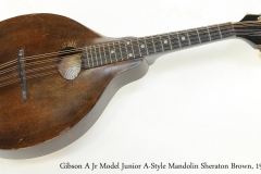 Gibson A Jr Model Junior A-Style Mandolin Sheraton Brown, 1924   Full Front View