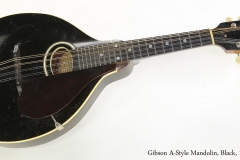 Gibson A-Style Mandolin, Black, 1928  Full Rear View