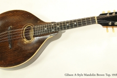 Gibson A-Style Mandolin Brown Top, 1918  Full Front View