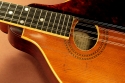 gibson-a1-1912-cons-top-detail-1