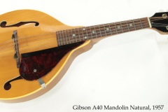 Gibson A40 Mandolin Natural, 1957 Full Front View