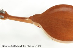 Gibson A40 Mandolin Natural, 1957 Full Rear View