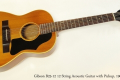 Gibson B25-12 12 String Acoustic Guitar with Pickup, 1965  Full Front View